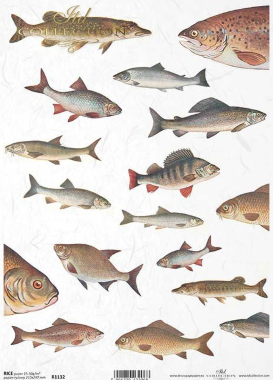 Decoupage Rice Paper - A4 - 1 piece - 1132