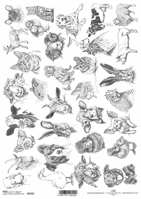 Decoupage Rice Paper - A4 - 1 piece - 1552