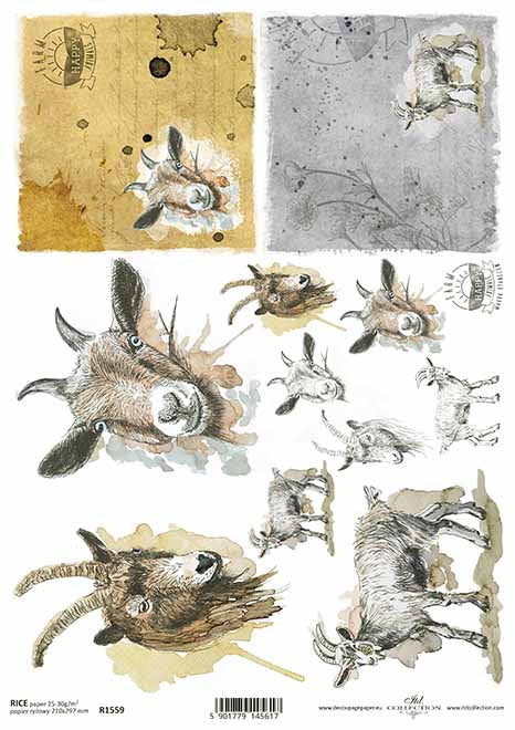 Decoupage Rice Paper - A4 - 1 piece - 1559