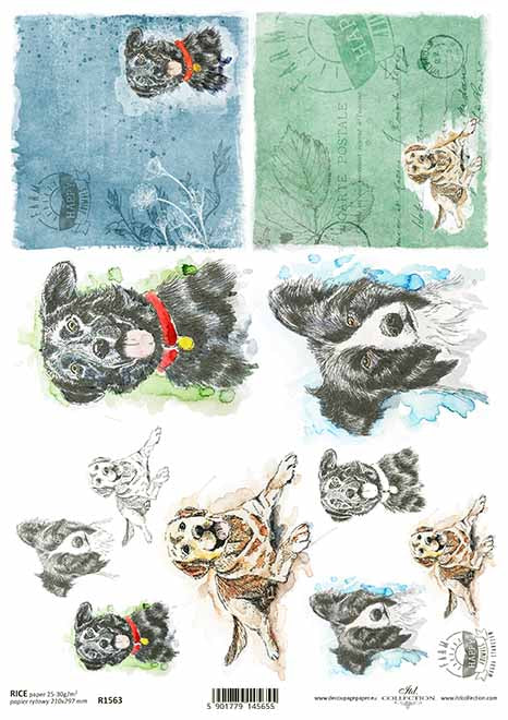 Decoupage Rice Paper - A4 - 1 piece - 1563