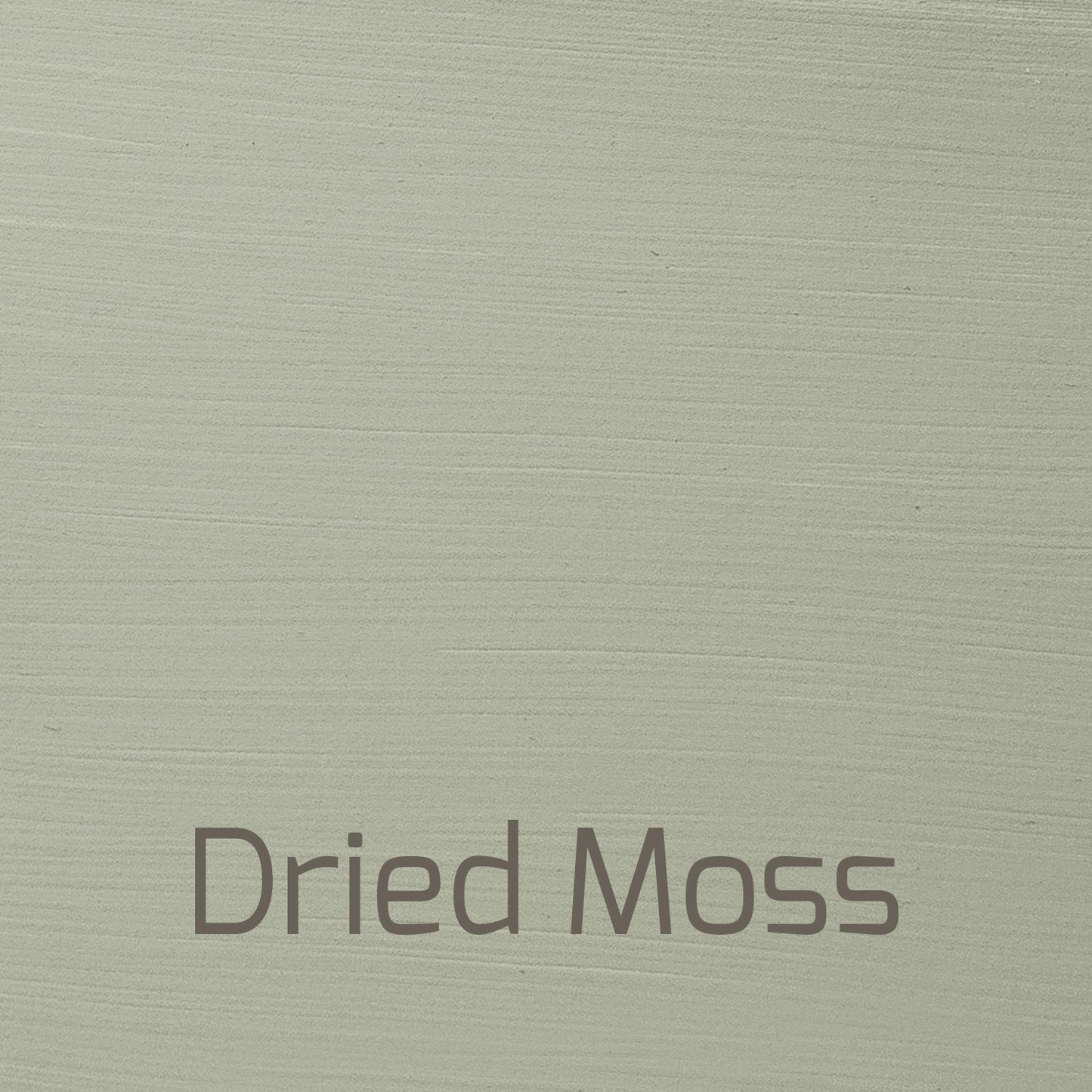 Dried Moss - Foresta