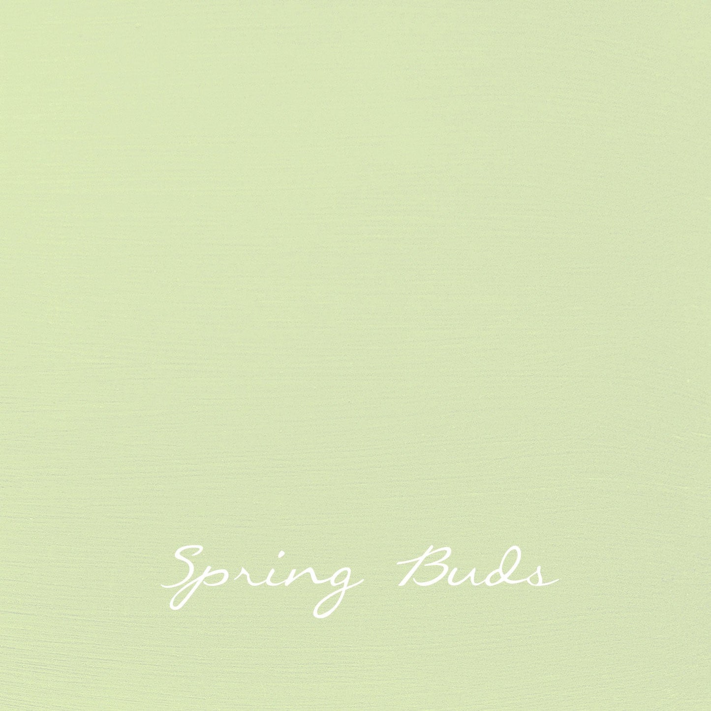 Spring Buds - Foresta
