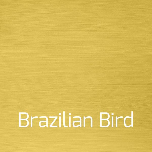 Brazilian Bird - Vintage-Vintage-Autentico Paint Online