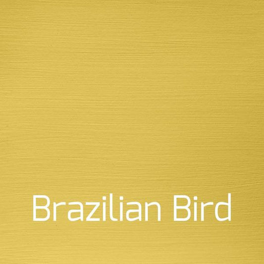 Brazilian Bird - Vintage-Vintage-Autentico Paint Online