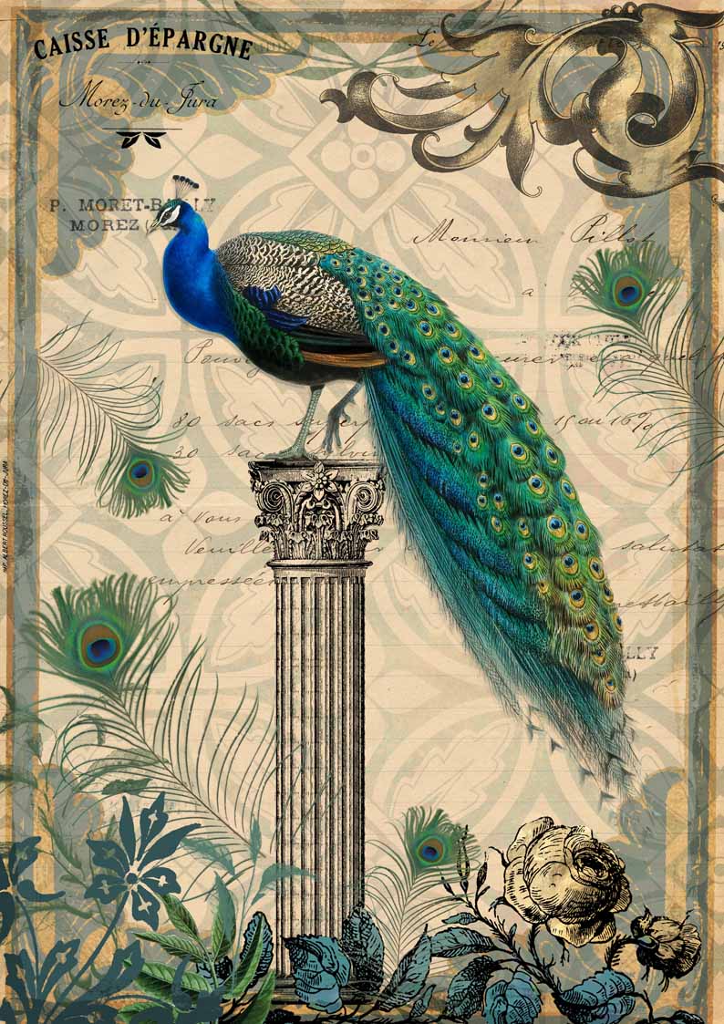 Decoupage Queen - Peacock on Pedestal - A3