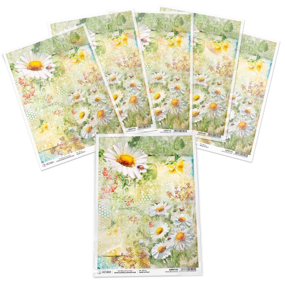 Piuma A4 Decoupage Paper - Daisies & Ladybirds - CBRP120