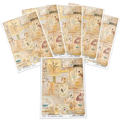 Piuma A4 Decoupage Paper - Book of Dried Flowers - CBRP0171