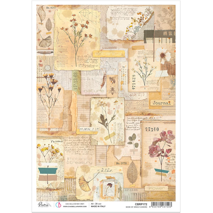 Piuma A4 Decoupage Paper - Book of Dried Flowers - CBRP0171