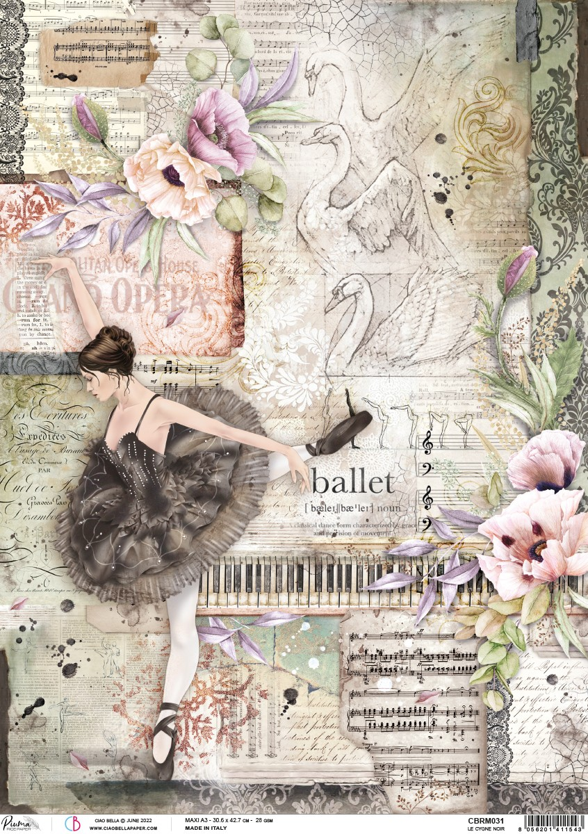 Piuma A3 Decoupage Paper - Le Cigne Noir - CBRM031