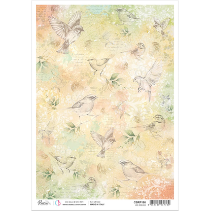Декупажна хартия Piuma A4 - Les Oiseaux - CBRP186