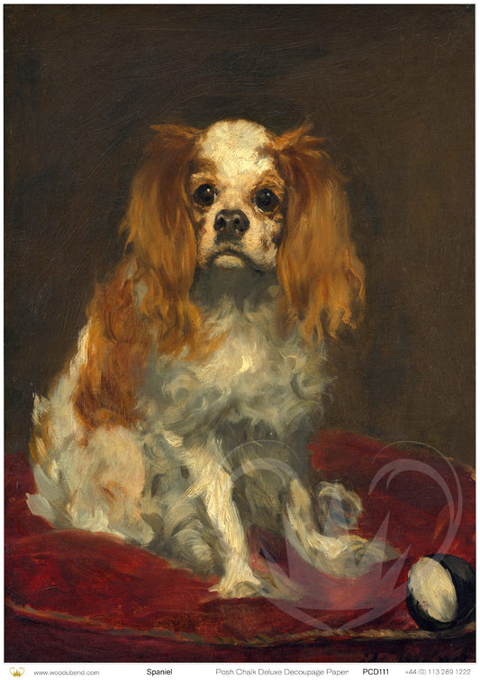 Posh Chalk Decoupage Paper - Spaniel - A3 - 42cm x 30cm