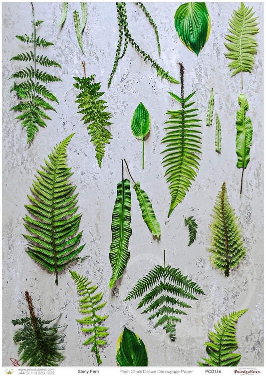 Posh Chalk Decoupage Paper - Stony Fern - A1 size (84cm x 60cm)