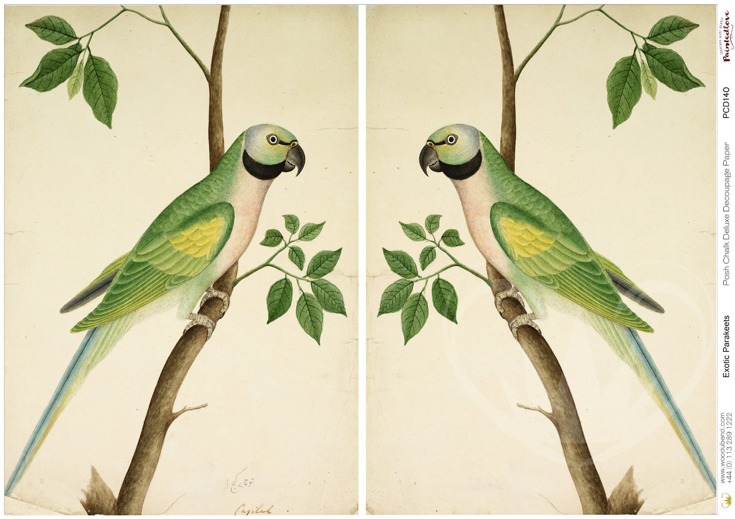 Posh Chalk Decoupage Paper - Exotic Parakeets - A3 size - 42 x 30cm