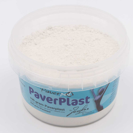 Paverplast 100g