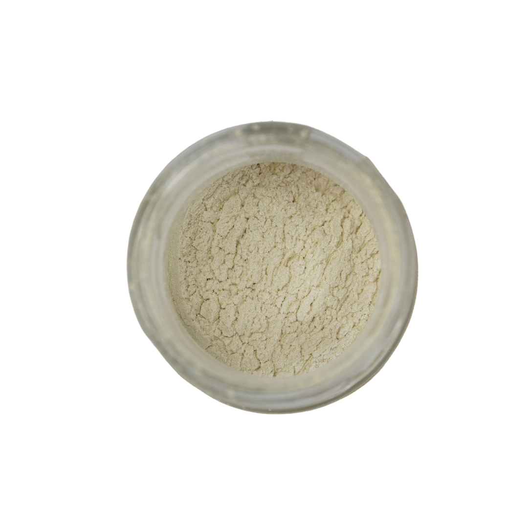 Posh Chalk - Precious Pigments - Diamond Gold