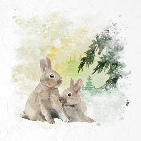Хартия за декупаж - Оризова хартия - Комплект - 6 листа - 15см x 15см - 037