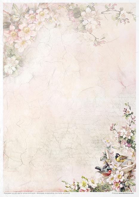 Decoupage Rice Paper - Rosy Summertime Creative Set - 20 pieces  - RS022
