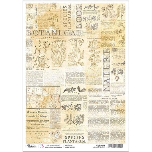 Piuma A4 Decoupage Paper - Plantarium - CBRP0172