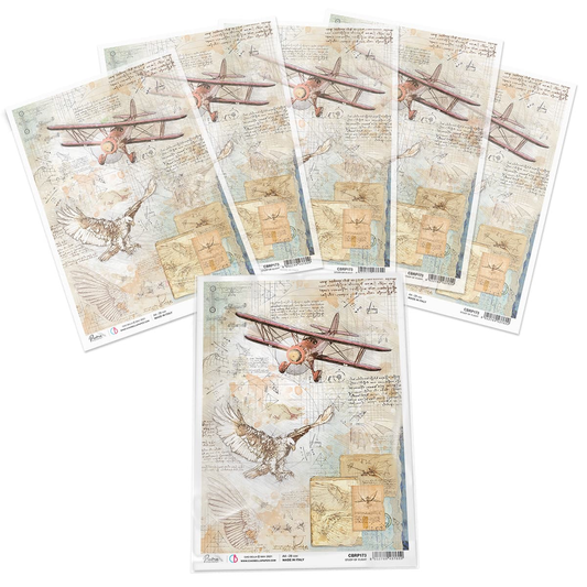 Piuma A4 Decoupage Paper - Study of Flight - CBRP0173