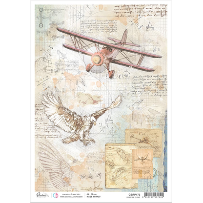 Декупажна хартия Piuma A4 - Study of Flight - CBRP0173