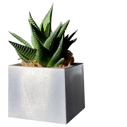 Eli-Chem Metal Cast Aluminium - 400g