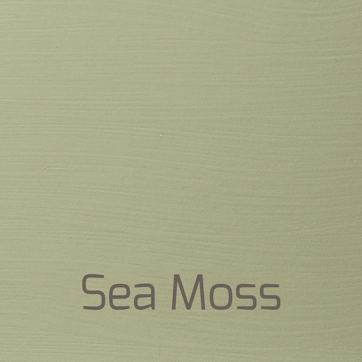 Sea Moss - Versante Matt-Versante Matt-Autentico Paint Online