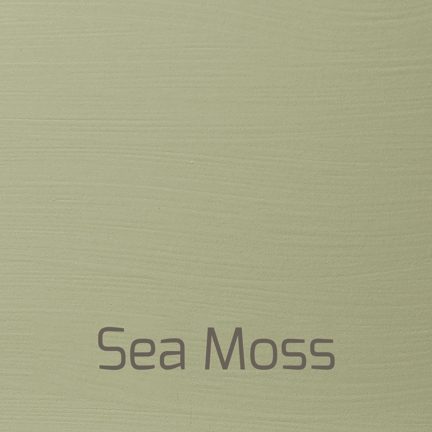 Sea Moss - Versante Matt-Versante Matt-Autentico Paint Online