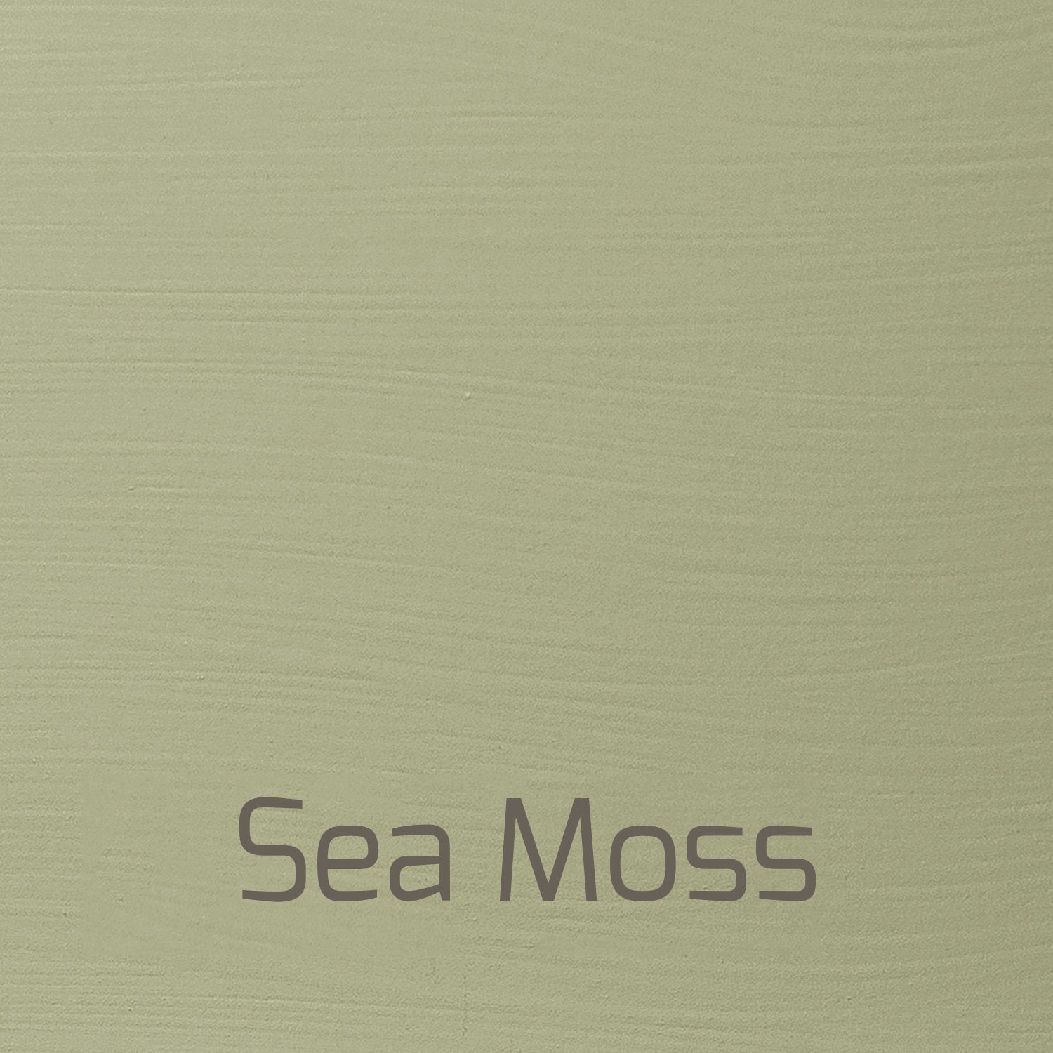 Sea Moss - Versante Matt-Versante Matt-Autentico Paint Online