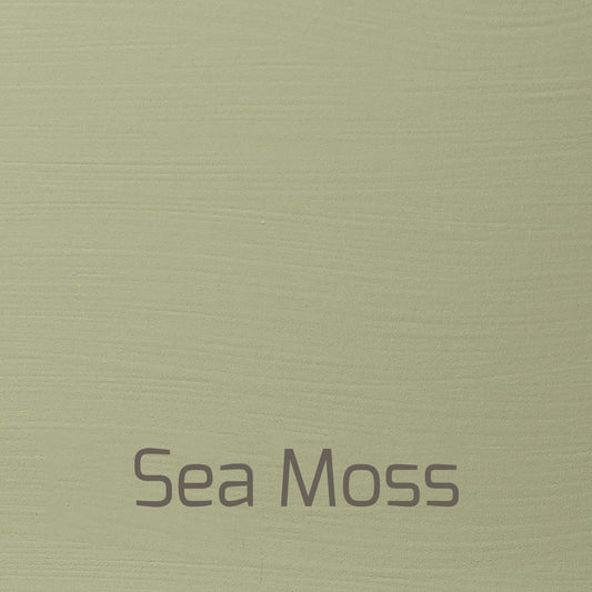 Sea Moss - Versante Eggshell-Versante Eggshell-Autentico Paint Online