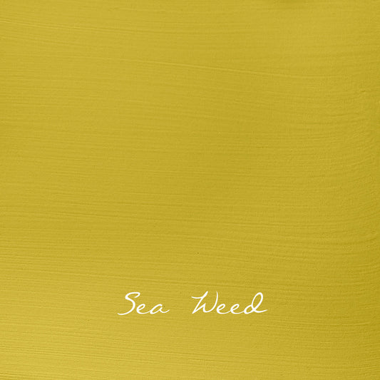 Sea Weed - Vintage