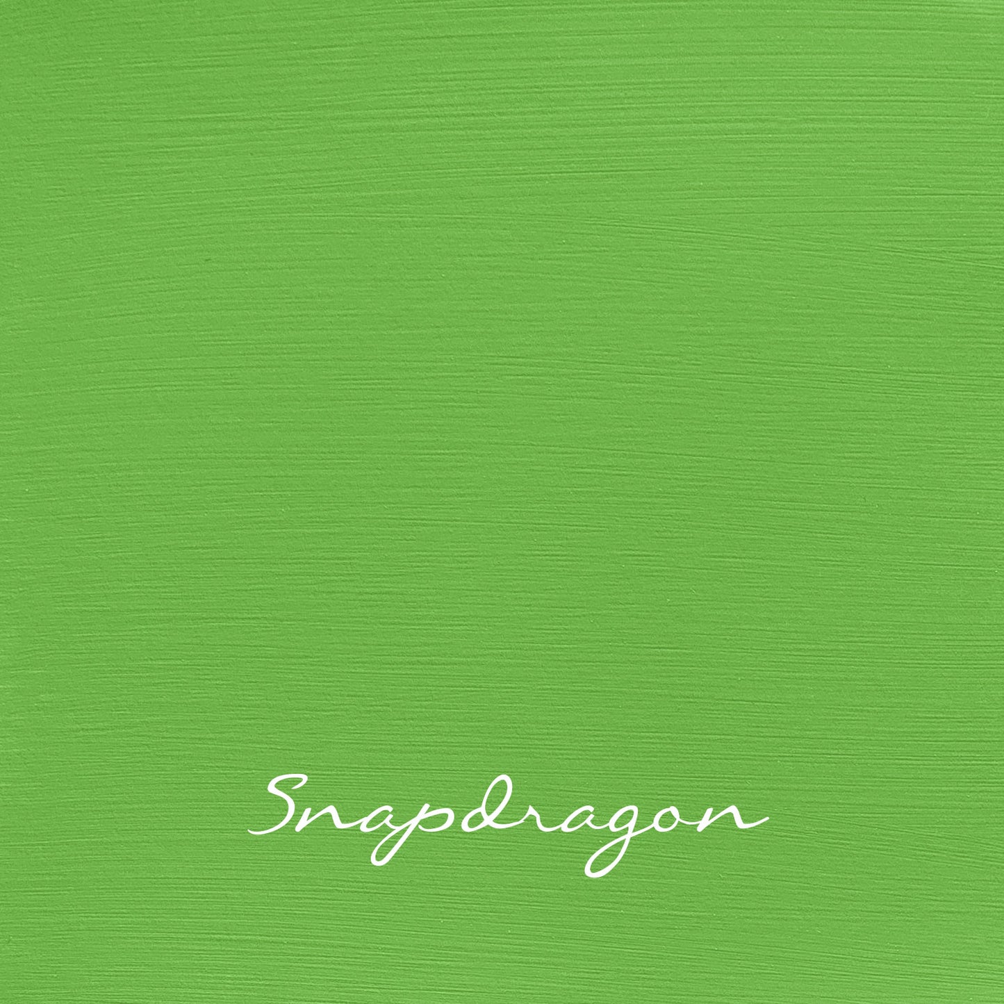 Snapdragon - Vintage