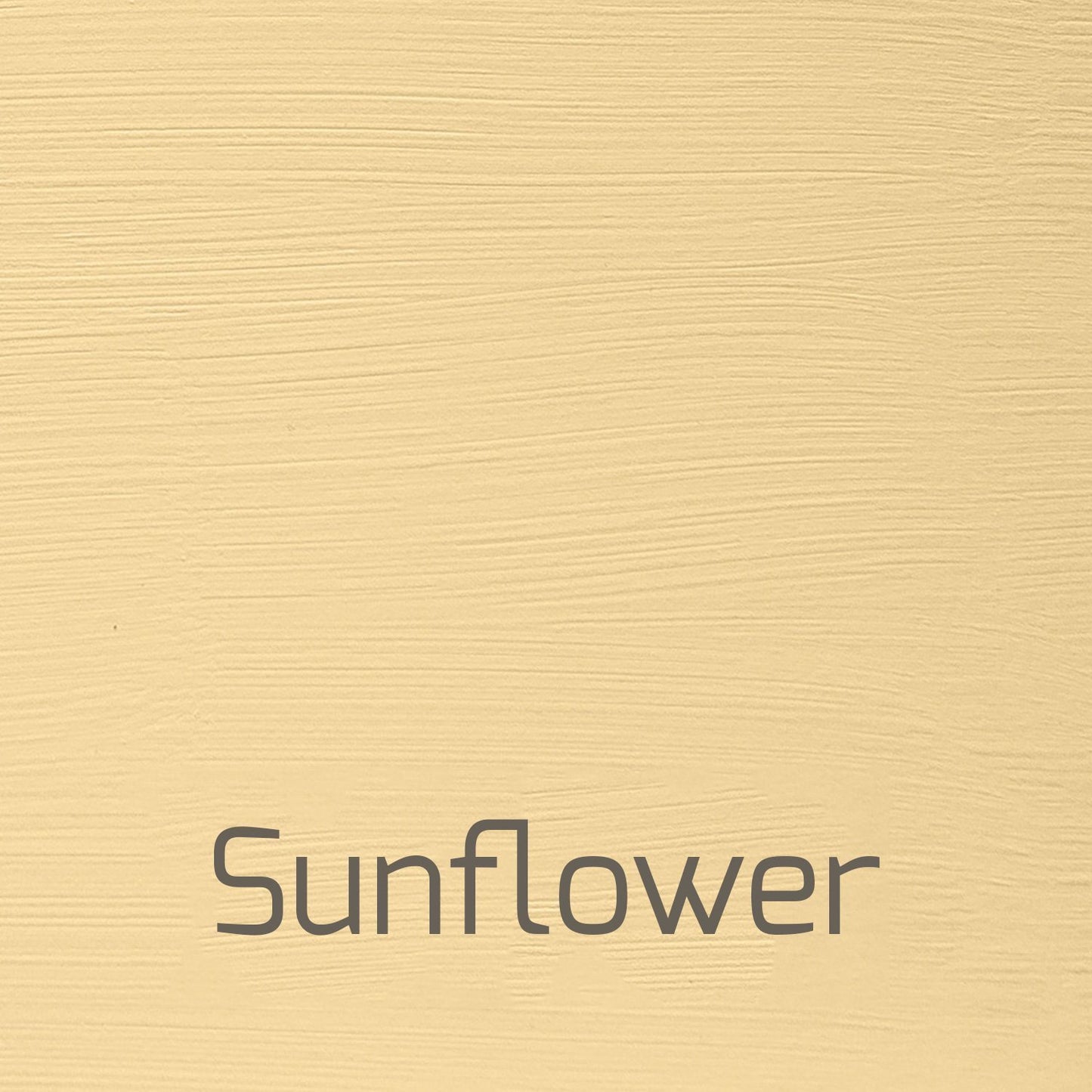 Sunflower - Versante Eggshell-Versante Eggshell-Autentico Paint Online