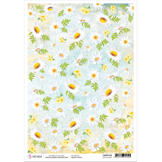 Piuma A4 Decoupage Paper - White Daisies - CBRP126