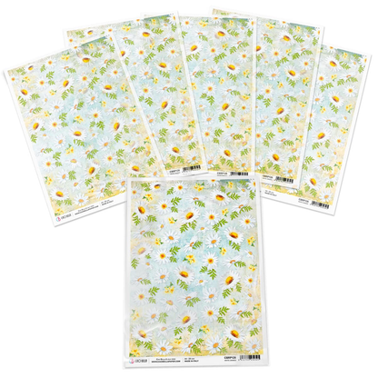Piuma A4 Decoupage Paper - White Daisies - CBRP126